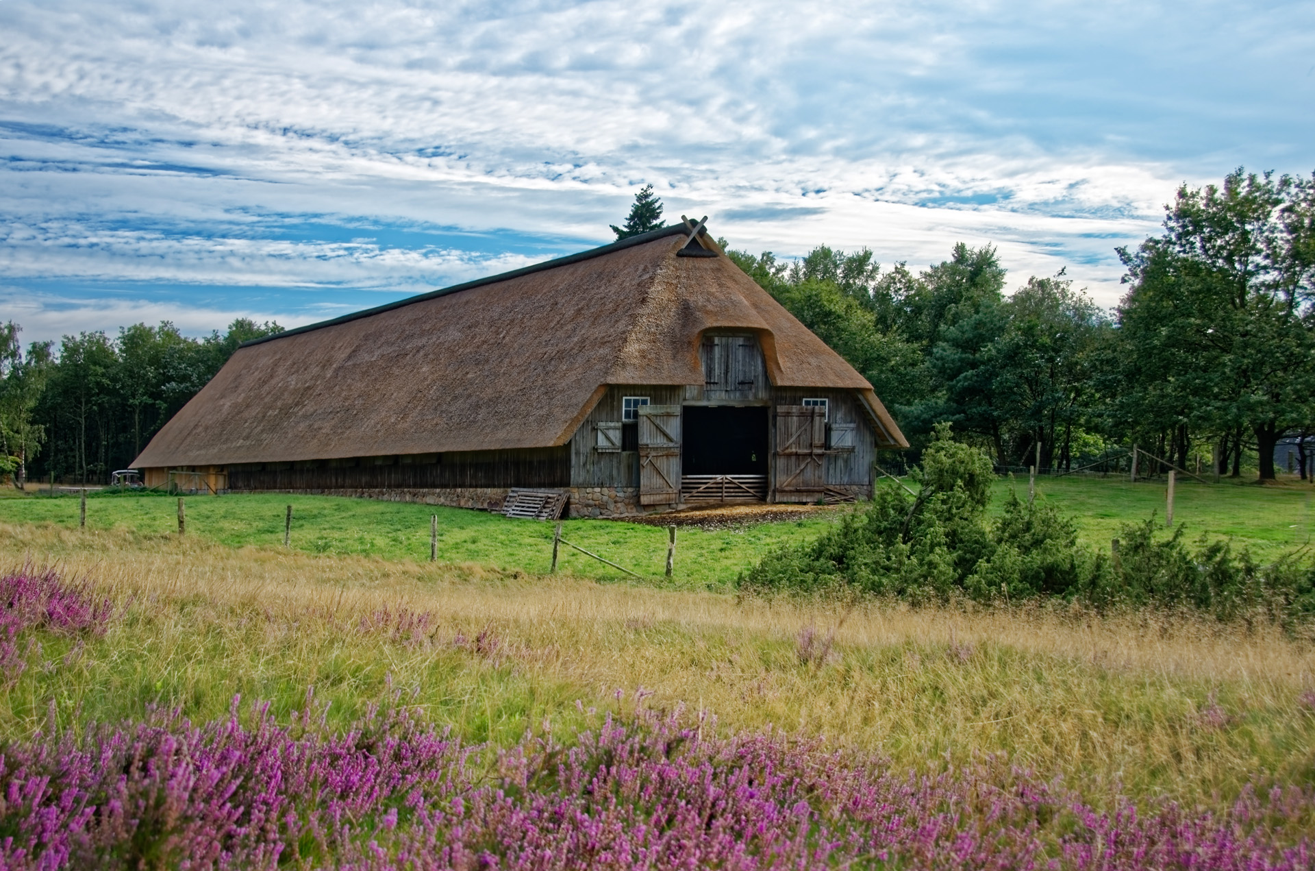 Lüneburger Heide